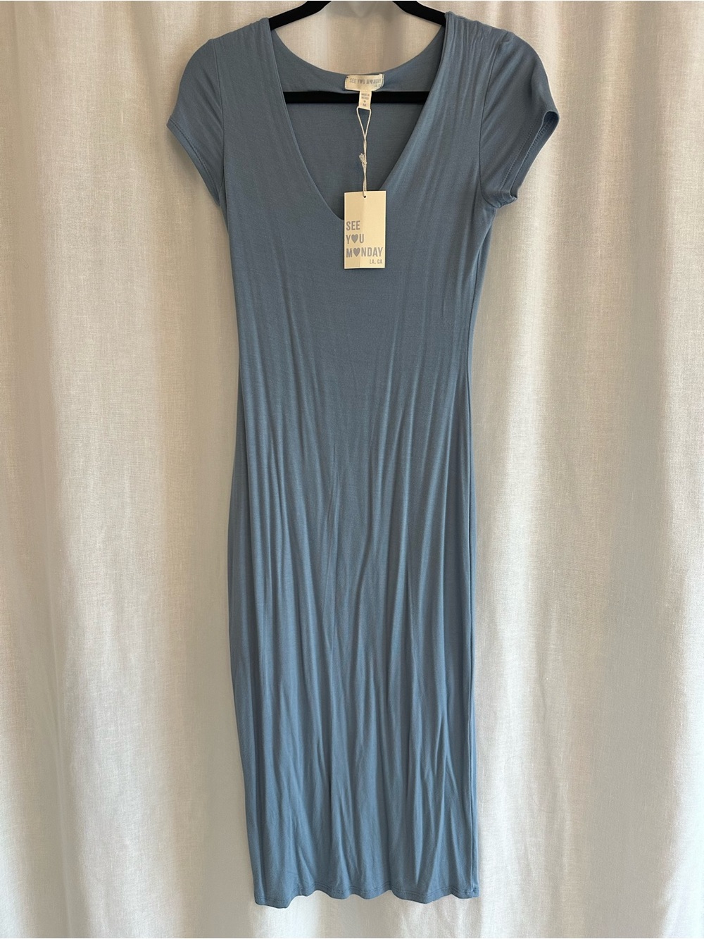 NWT- Blue Maxi Dress